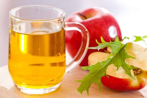 CiderLines - dây chuyền sản xuất rượu táo được trang bị đầy đủ